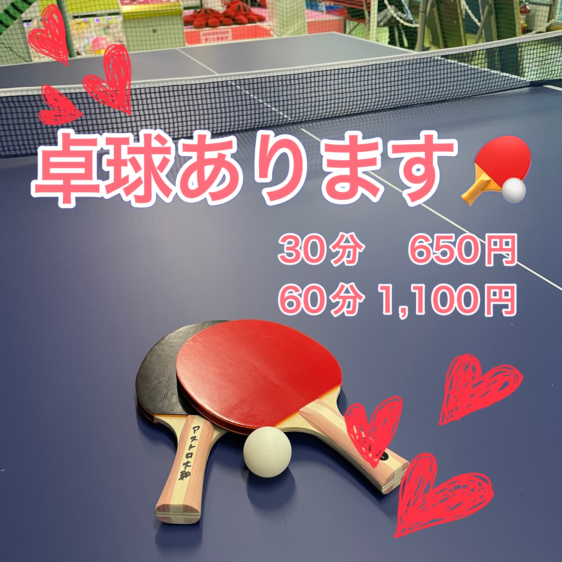 卓球導入!