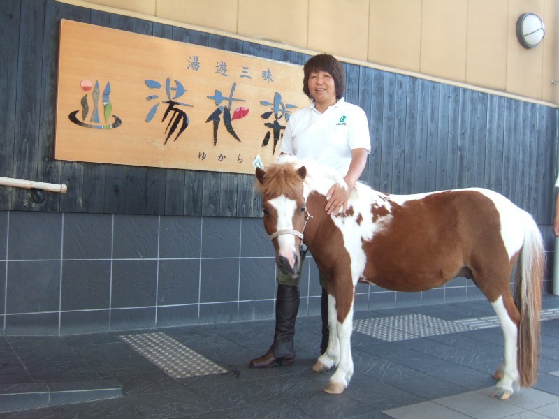 http://www.relafull.co.jp/blog/2011/09/12/poni0.JPG