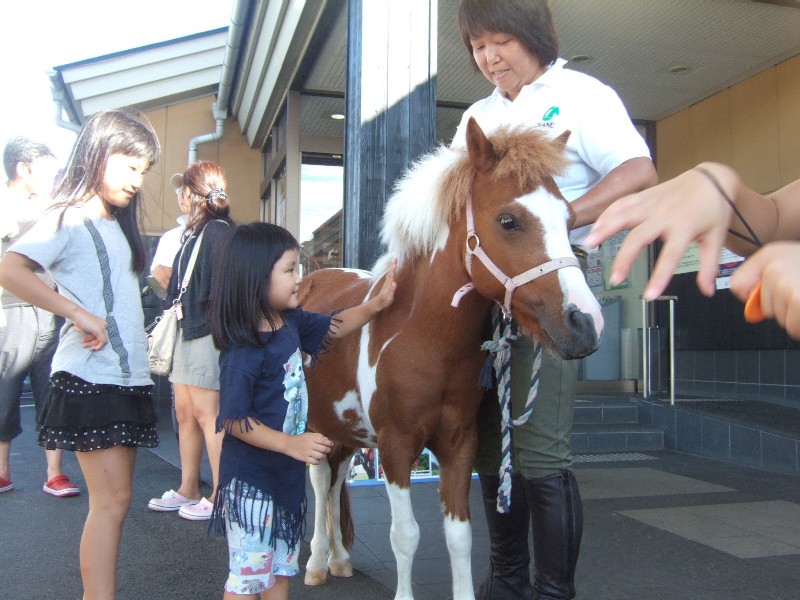 http://www.relafull.co.jp/blog/2011/09/12/poni1.JPG