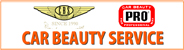 CAR BEAUTY SERVICE